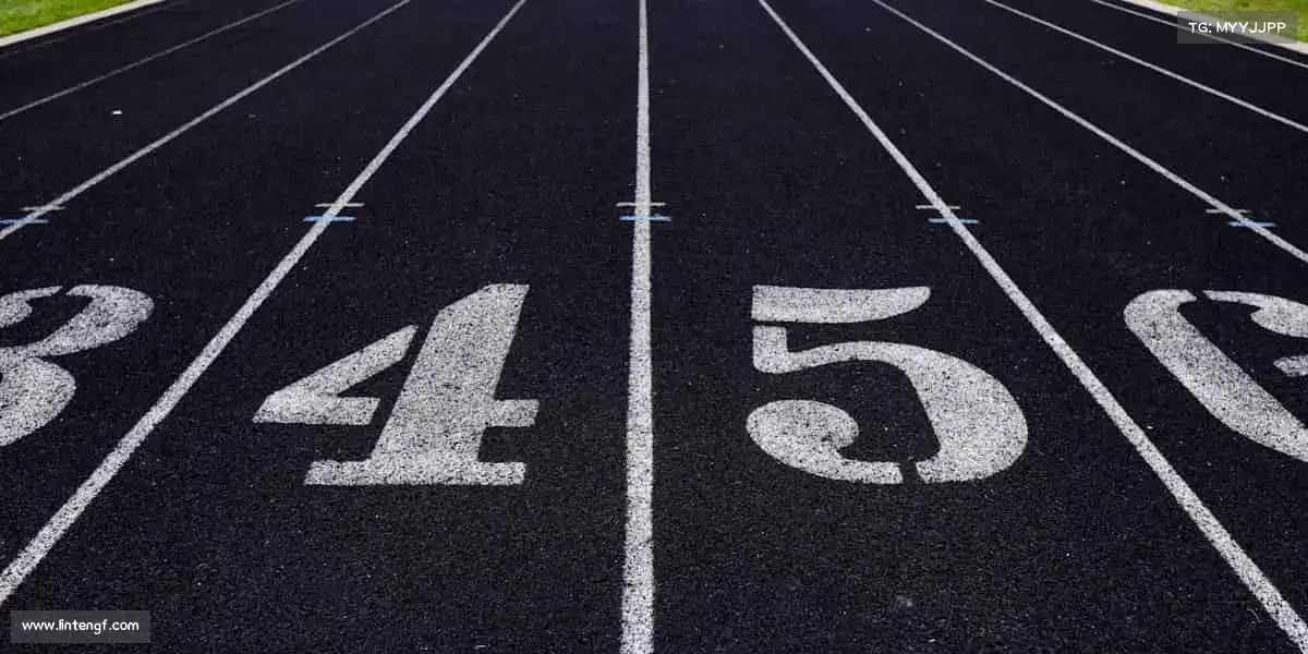 行业领先的理由